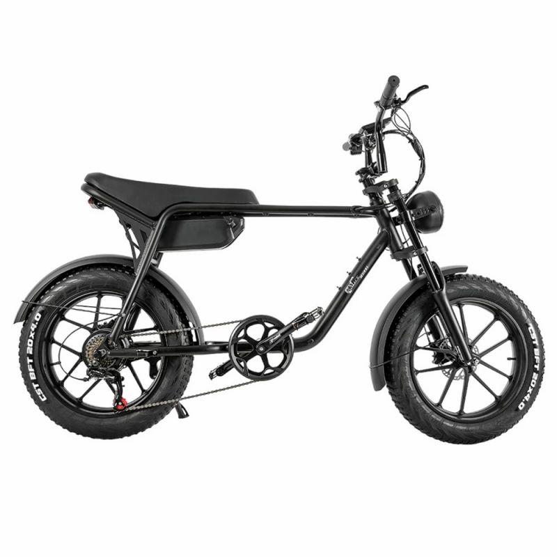 CMACEWHEEL K20 20*4.0 inch CST Tire Electric Bike, 750W Motor, 40-45km/h Max Speed, 48V 17Ah Battery  |   Electric Bike Electric Bike Electric Bike