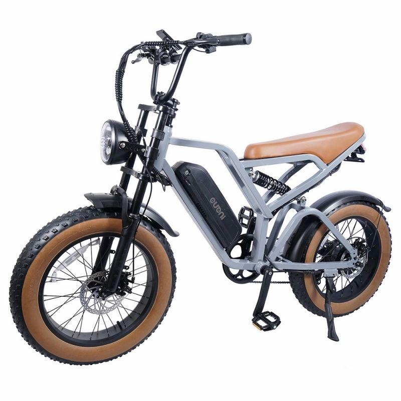 EUENI FXH009 Pro Electric Bike, 20-inch Tire, 750W Motor, 48V 15Ah Battery, 45km/h Max Speed, 96km Range – Grey  |   Electric Bike Electric Bike Electric Bike