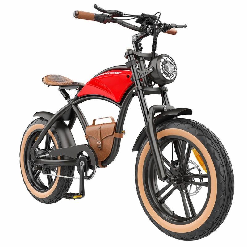 Hidoes B10 Electric Bike, 1000W Motor, 48V 12.5Ah Battery, 20 x4′ Fat Tire, 45km/h Max Speed, 60km Range  |   Electric Bike Electric Bike Electric Bike